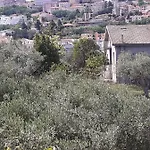 Il Giardino Degli Ulivi