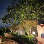 Il Giardino Degli Ulivi *