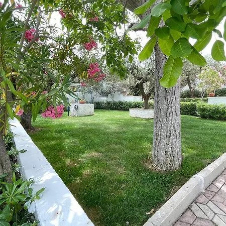 Il Giardino Degli Ulivi 别墅 圣安杰洛城