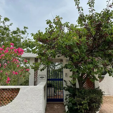 Il Giardino Degli Ulivi