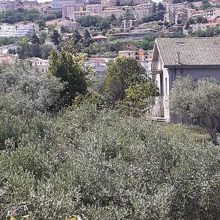 Il Giardino Degli Ulivi