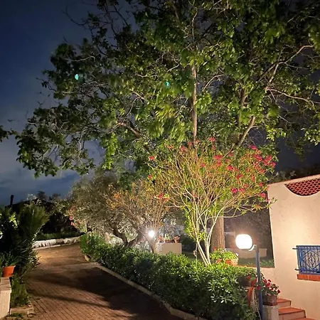 Il Giardino Degli Ulivi *