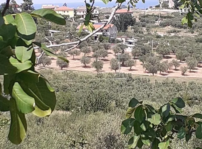 Il Giardino Degli Ulivi *