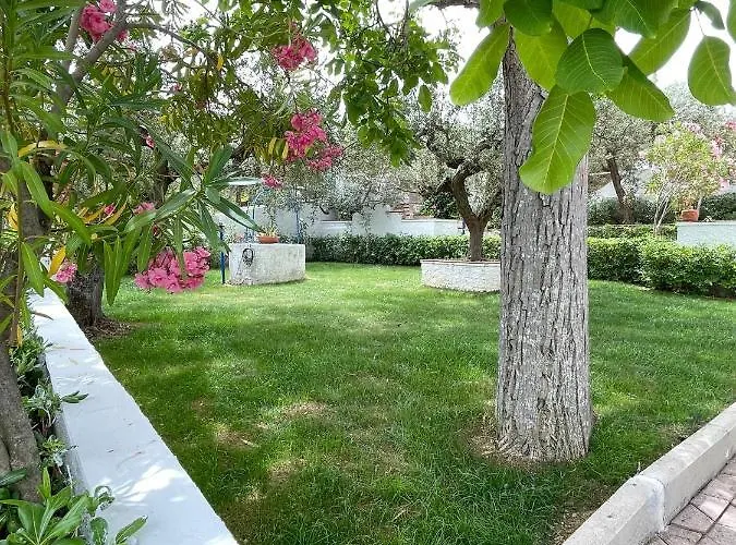 Il Giardino Degli Ulivi Villa Citta Sant'Angelo