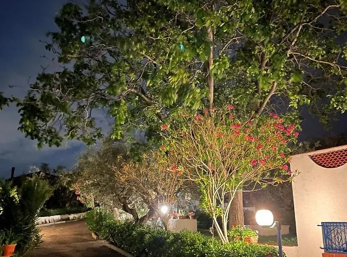 Il Giardino Degli Ulivi *